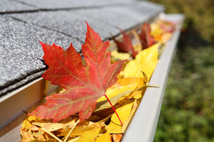 A close up of a rain gutter filled with fall leaves